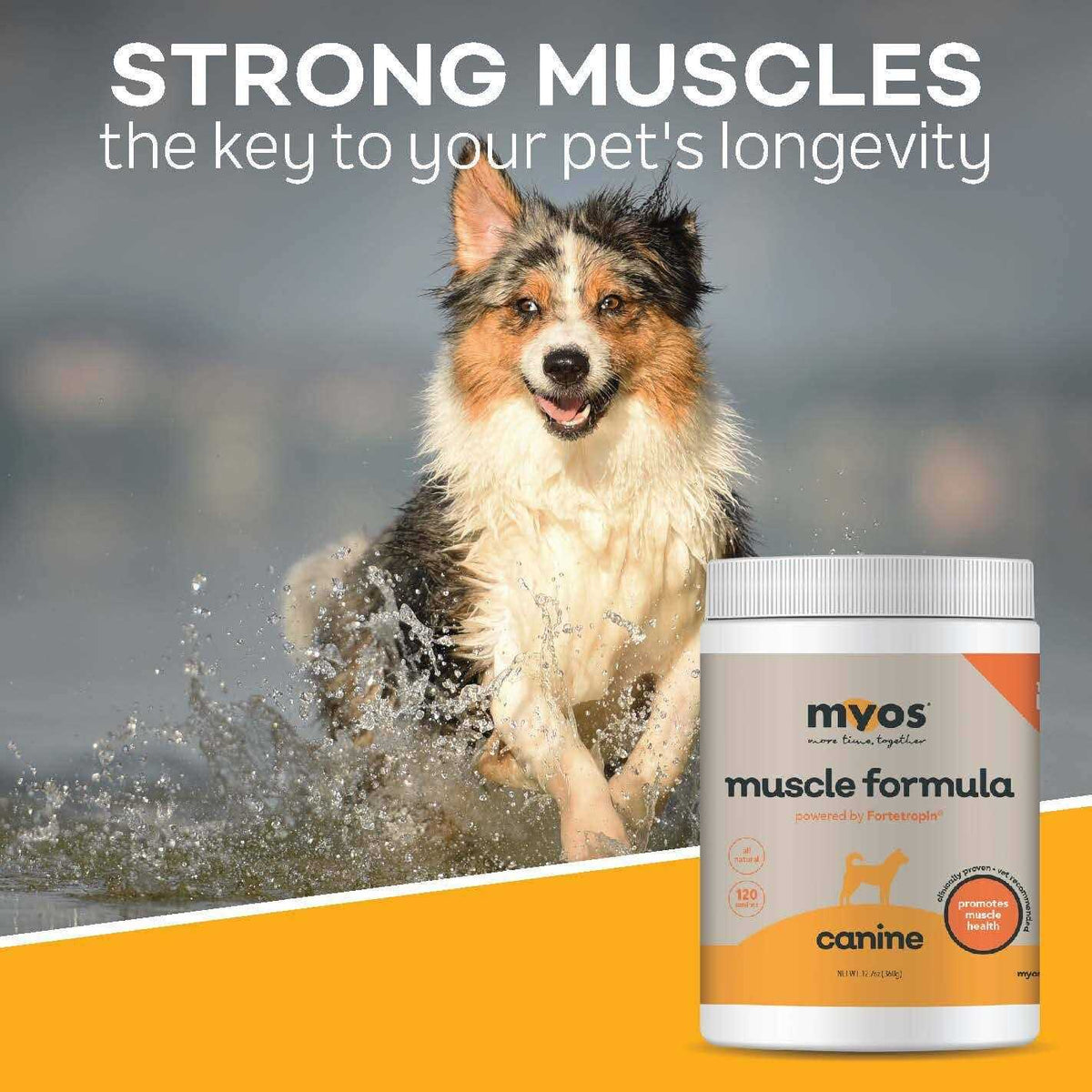 Canine Muscle Formula A8169