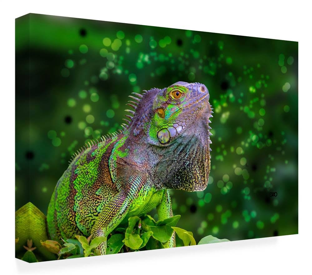 Canvas Art M401038