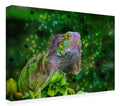 Canvas Art M401038
