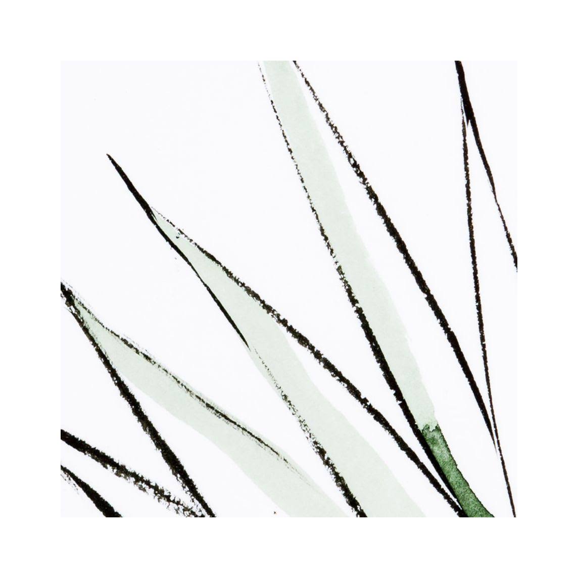 Agave Crop T623751