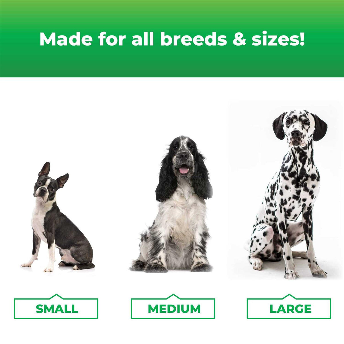 Dog Pet Supplies A6402