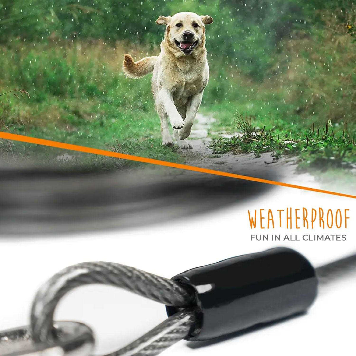 Dog Tie Out Cable U899987