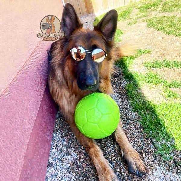 Soccer Ball Pet Supplies O5548