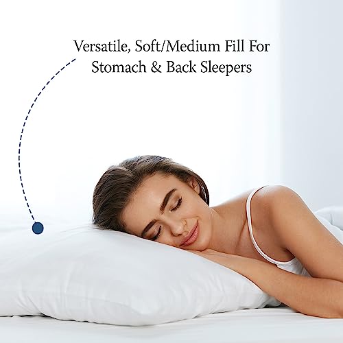 4-Pack Standard/Queen Jumbo Size Down Alternative Bed Pillows B200803