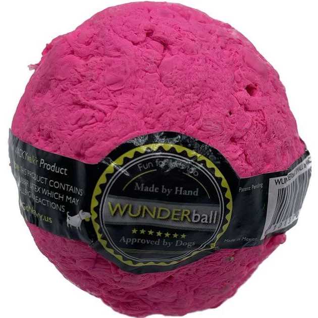 Fetch Dog Toy K5101