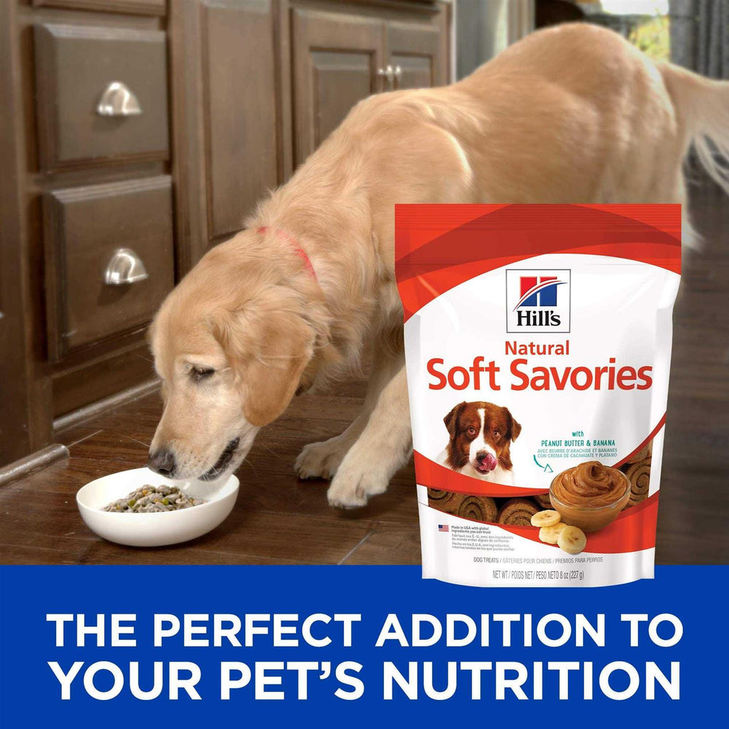 Dog Treats E986910