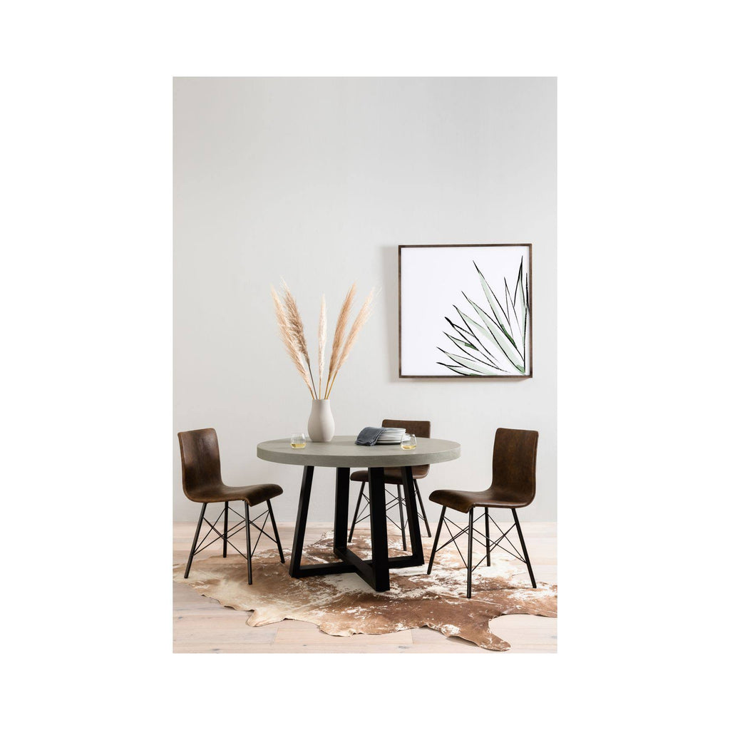 Agave Crop T623751
