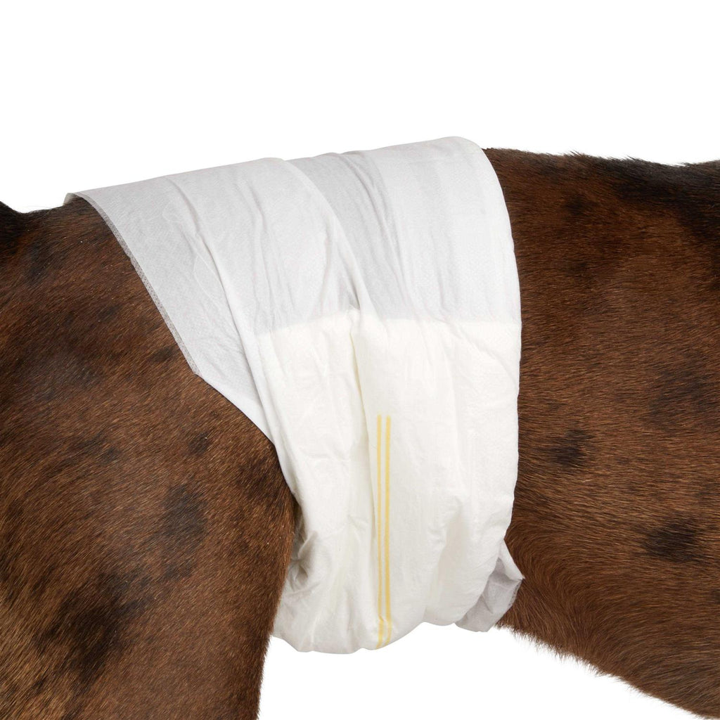 Disposable Wrap for Male Dogs Y9271