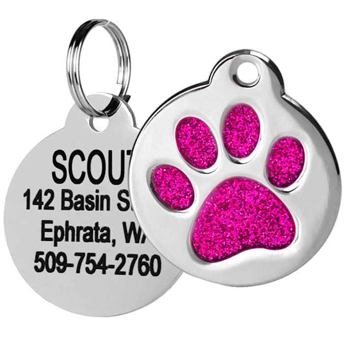 Stainless Steel Personalized Dog & Cat ID Tag K738961