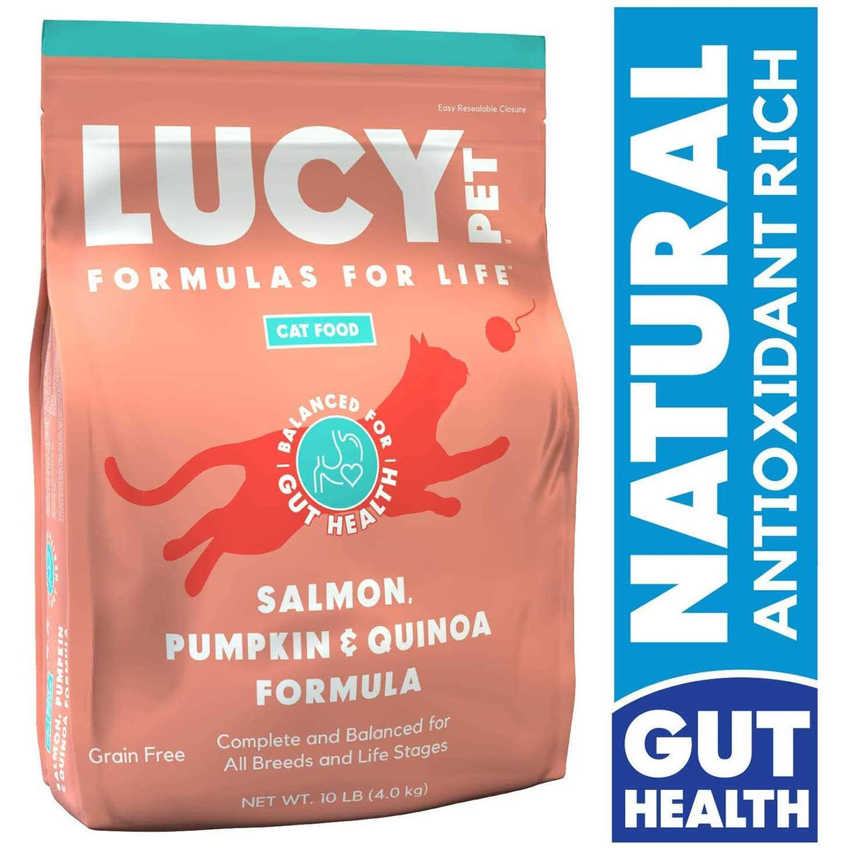 Dry Cat Food Salmon W5852