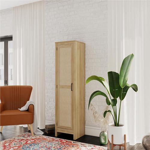 Black Oak 1-Door Tall Cabinet I556