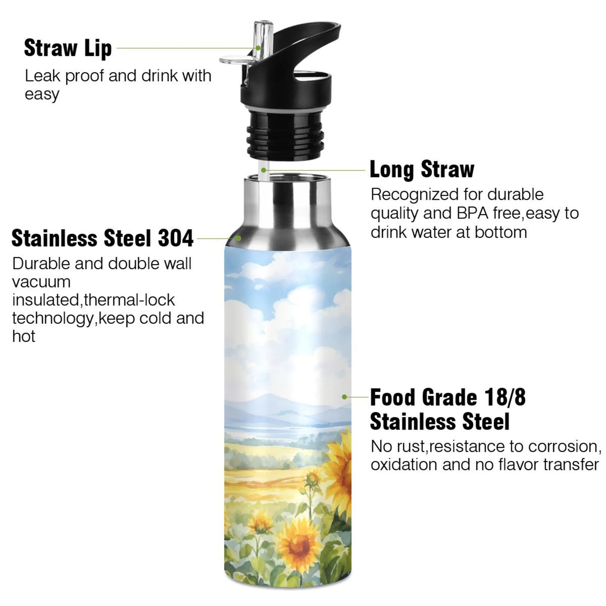 Stainless Steel Insulated Water Bottle with Straw Lid 20 oz X19647