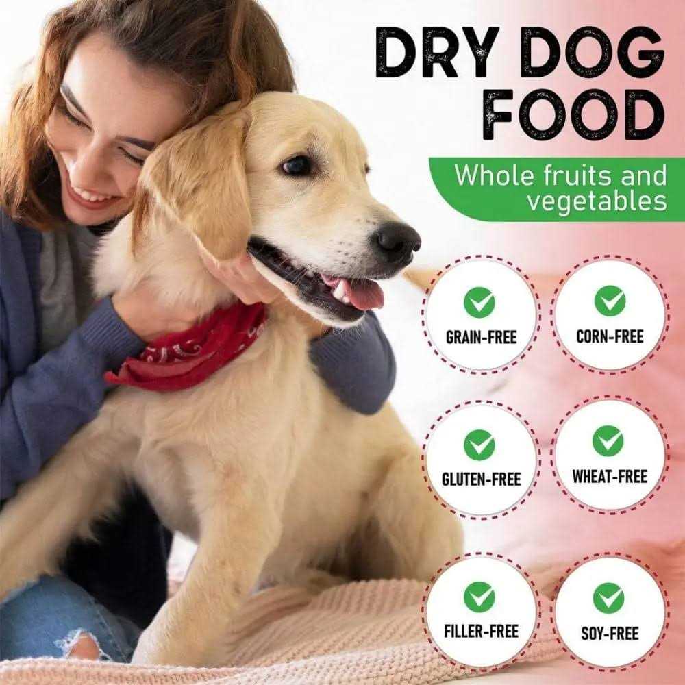 Lamb & Brown Rice Dry Dog Food V228