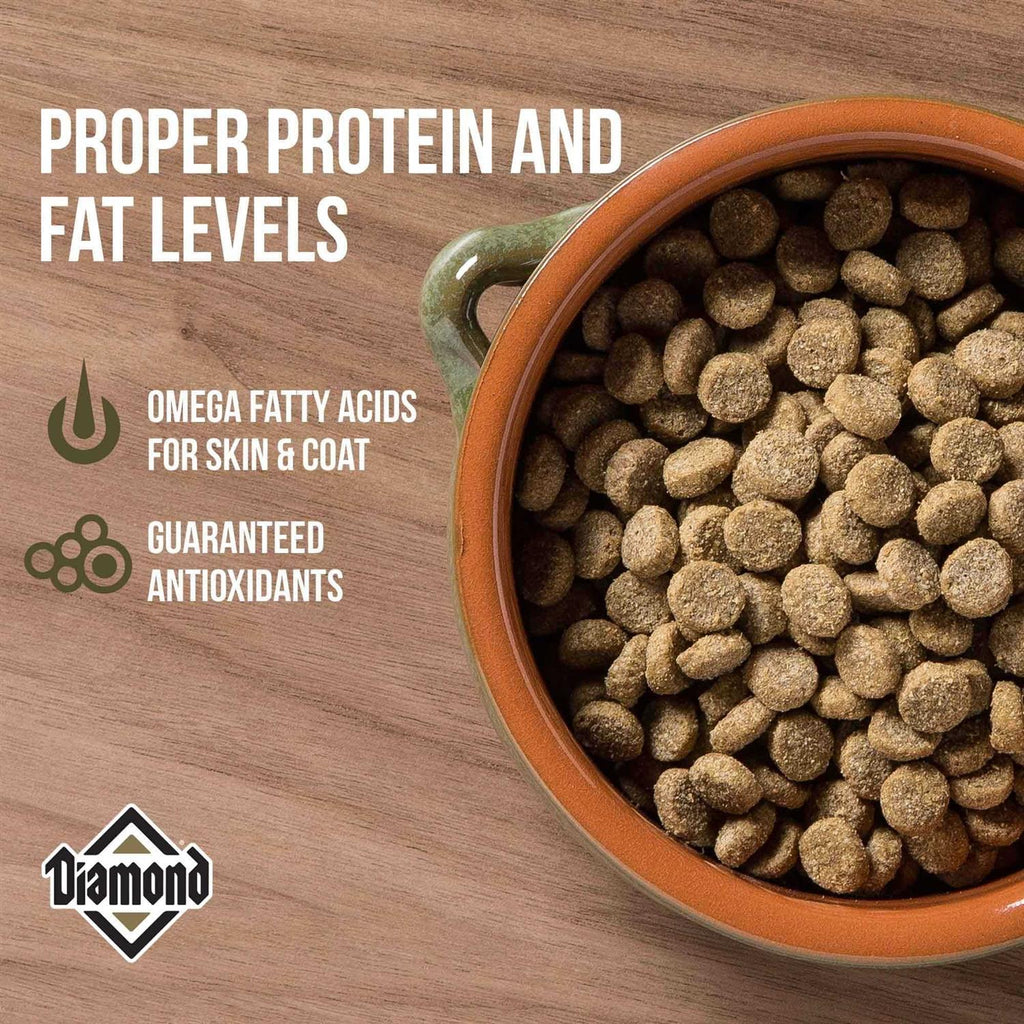 Dog Food Y3640