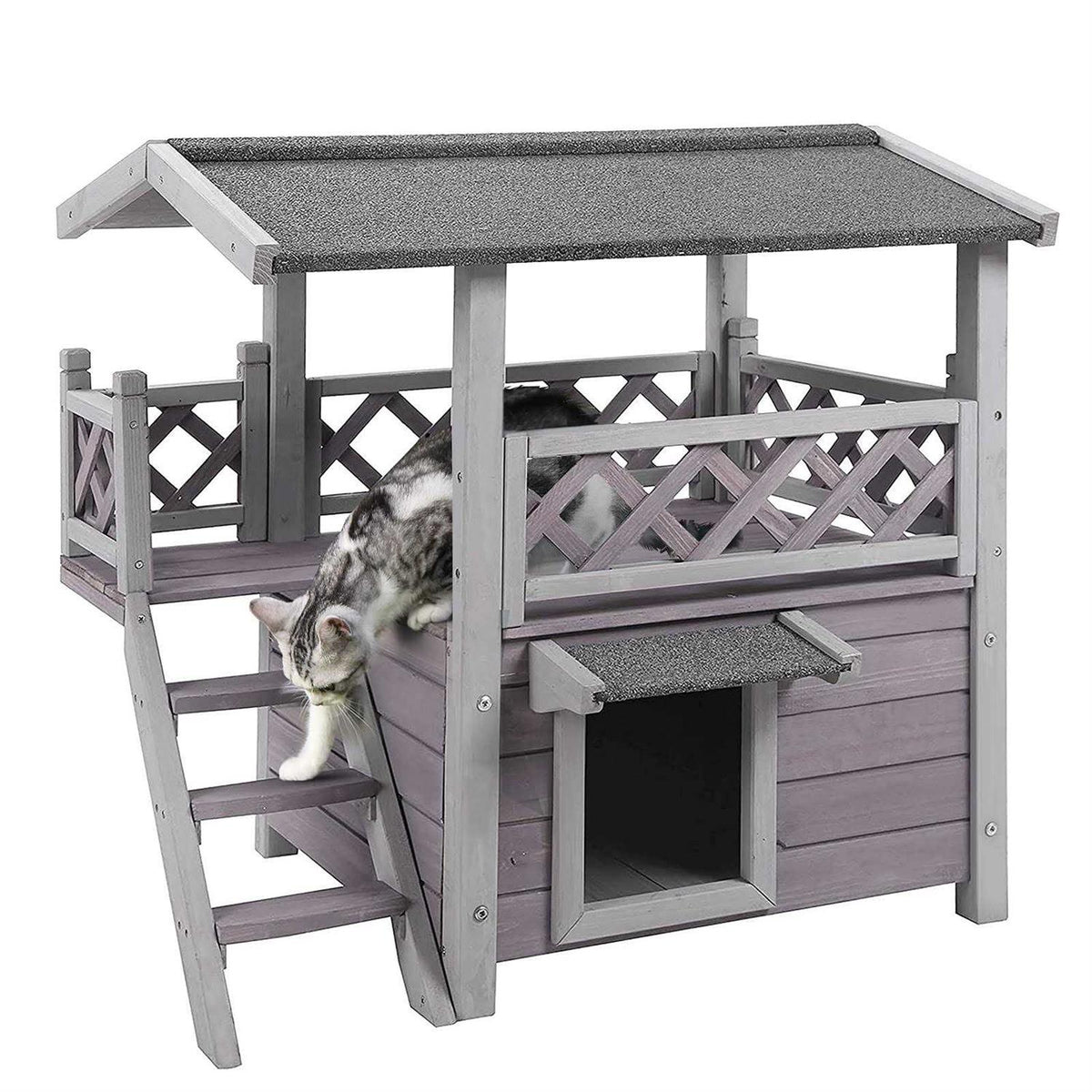 Cat House with Door W711