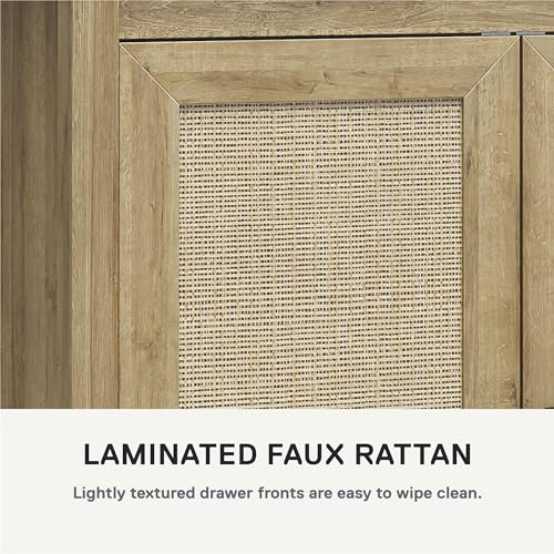 Black Oak 1-Door Tall Cabinet I556