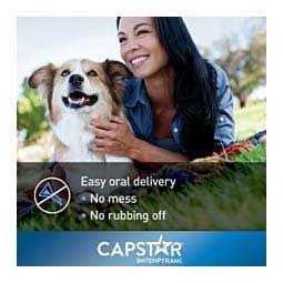 Flea Tablets for Dogs U1137