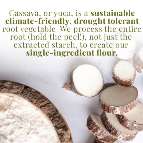 Certified Organic Cassava Flour, Gluten Free and Grain-Free Flour (1.5 Pounds) R11889