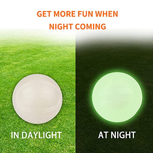Interactive Squeaky Dog Ball, Light Up, Floating, Durable TPR, 2.5 Inches, 1 Pack M991