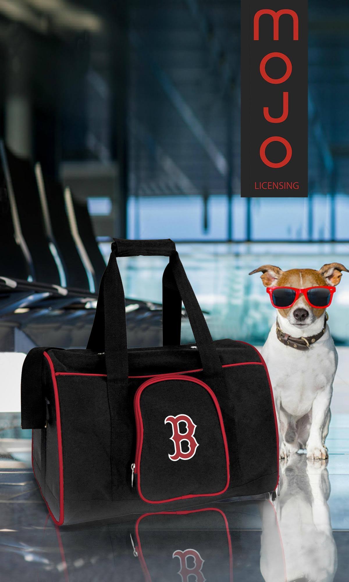 NFL Pet Carrier O9684