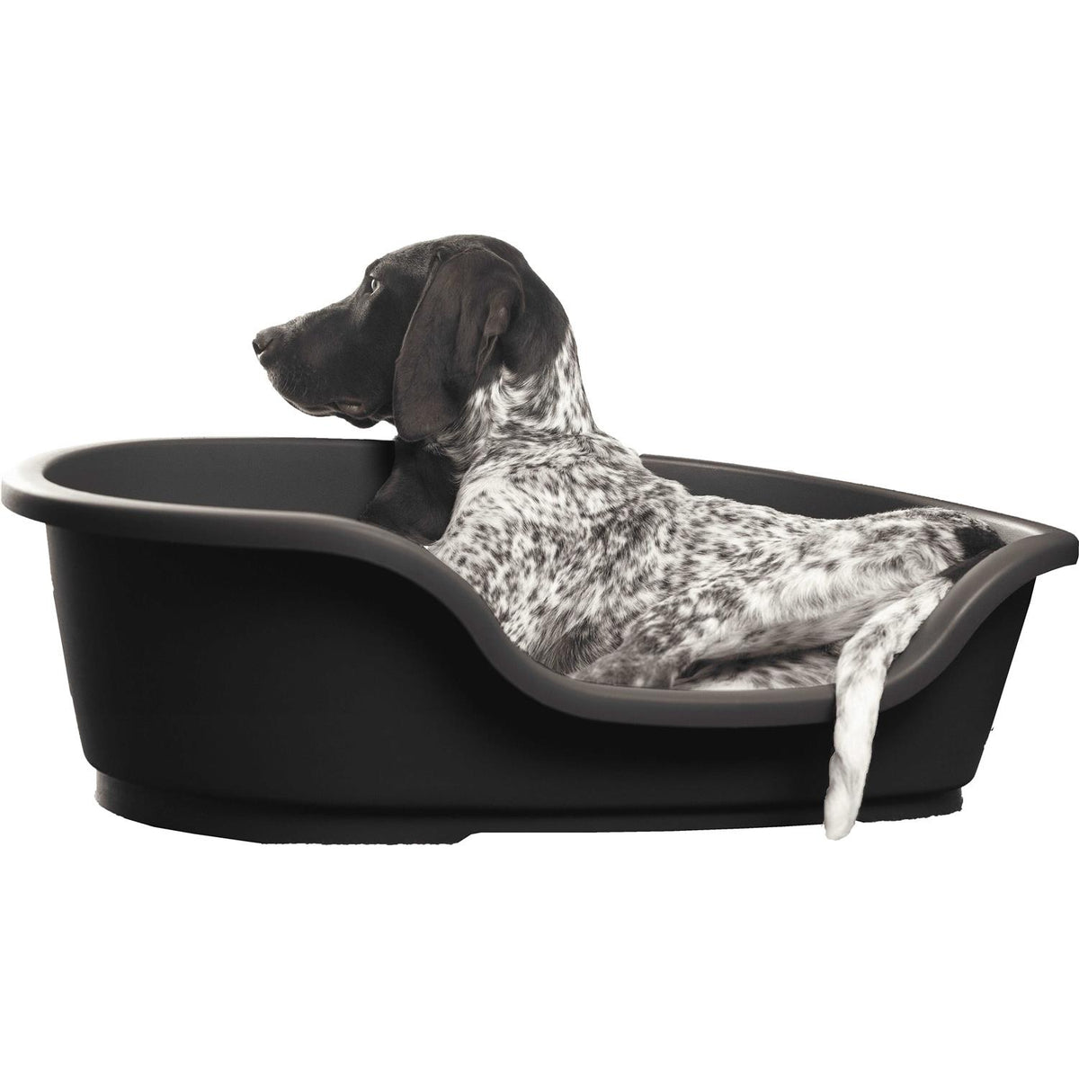 Pet Bed F822