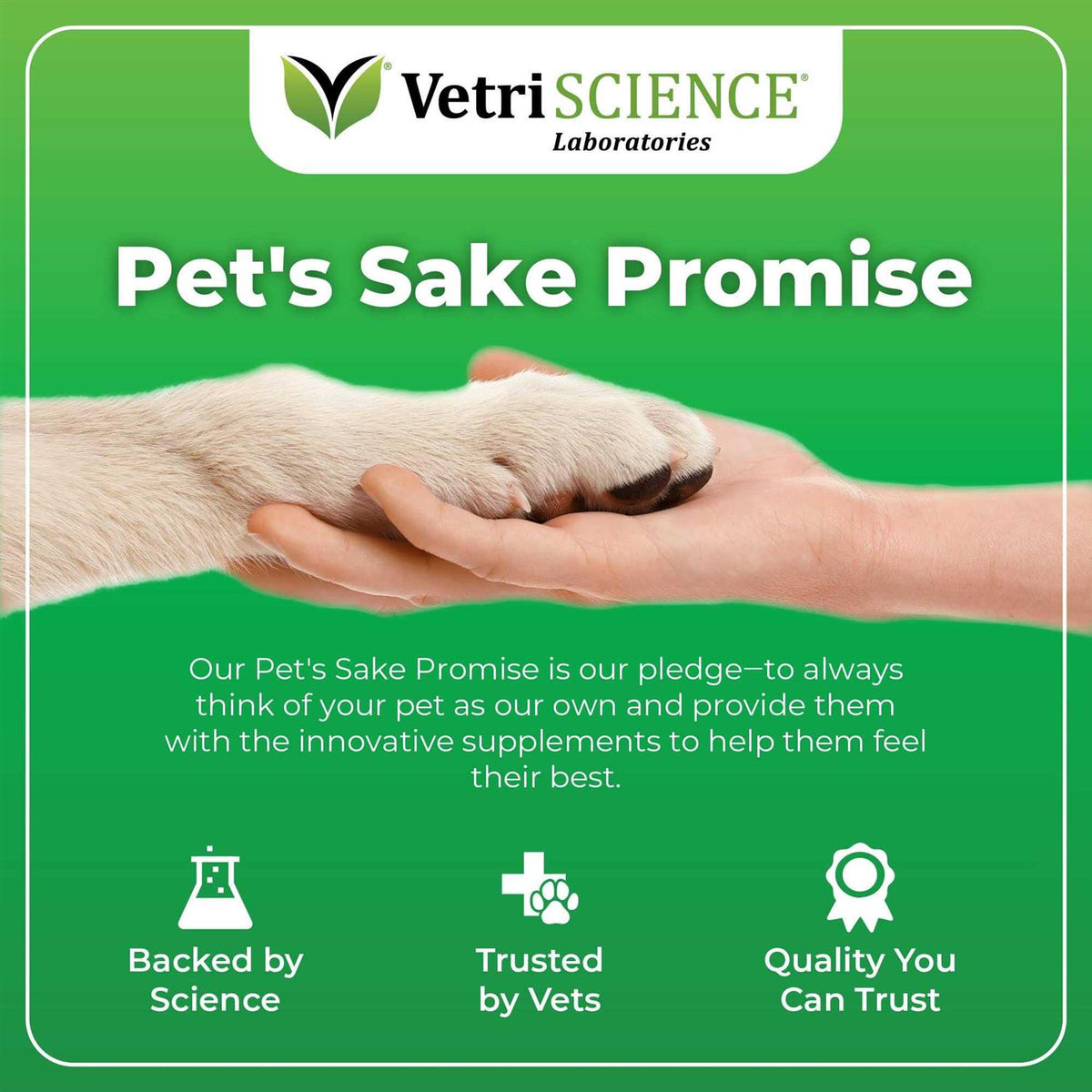 Dog Pet Supplies A6402