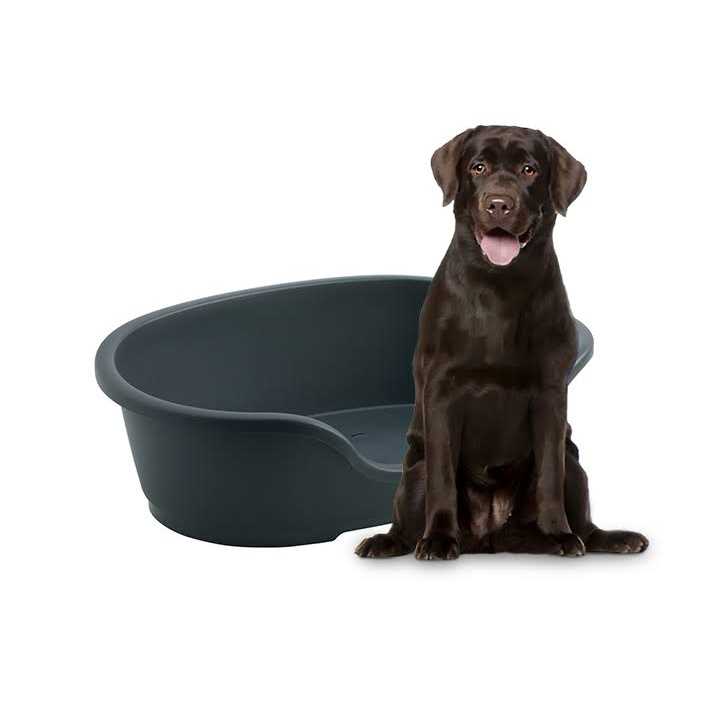 Pet Bed F822