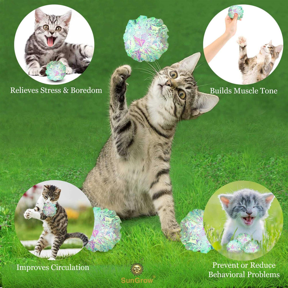 Clear Mylar Cat & Ferret Crinkle Balls & Chase Toy T7783