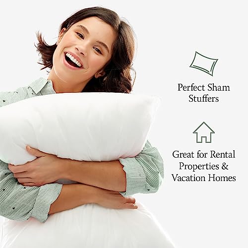 4-Pack Standard/Queen Jumbo Size Down Alternative Bed Pillows B200803