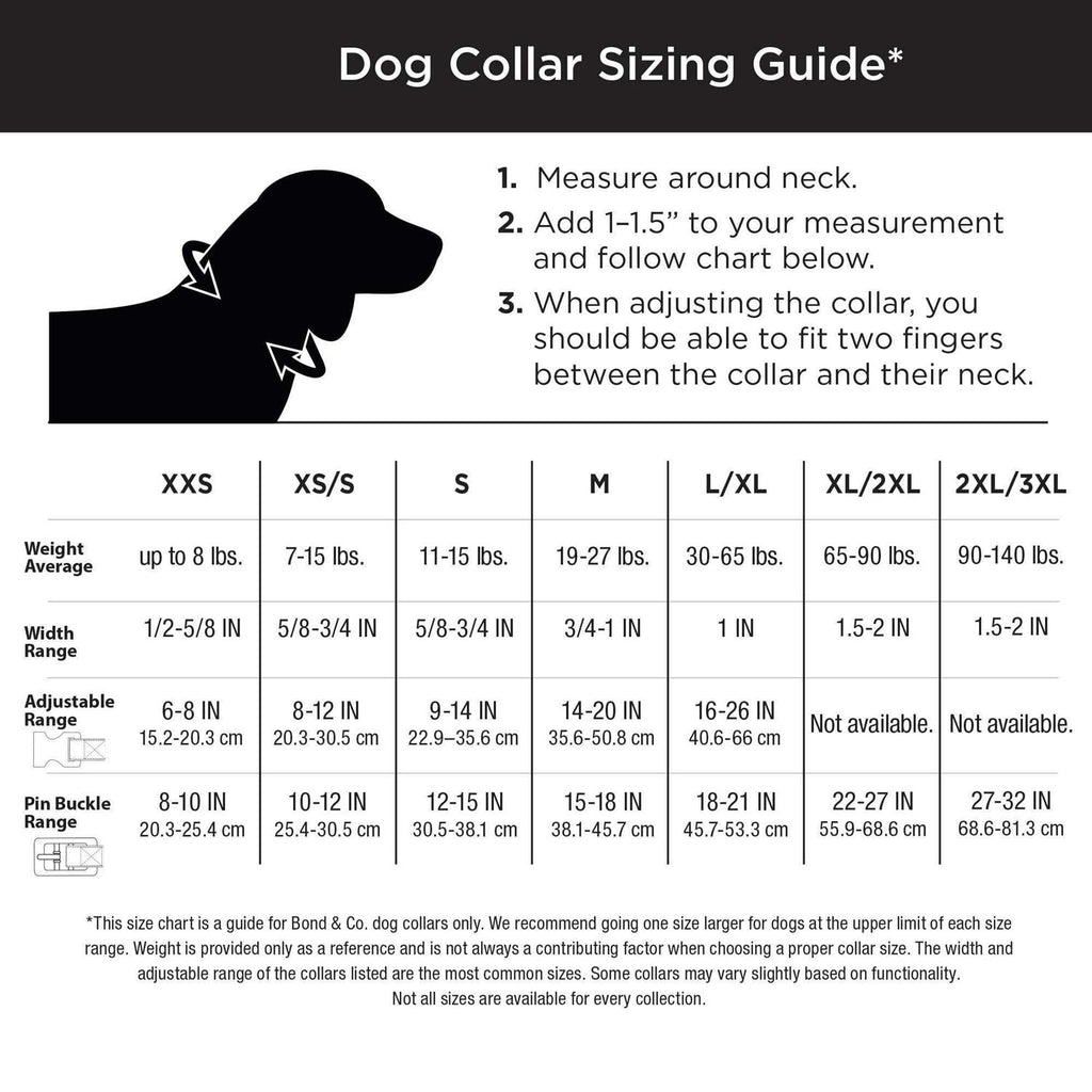 Neoprene Padded Dog Collar W769