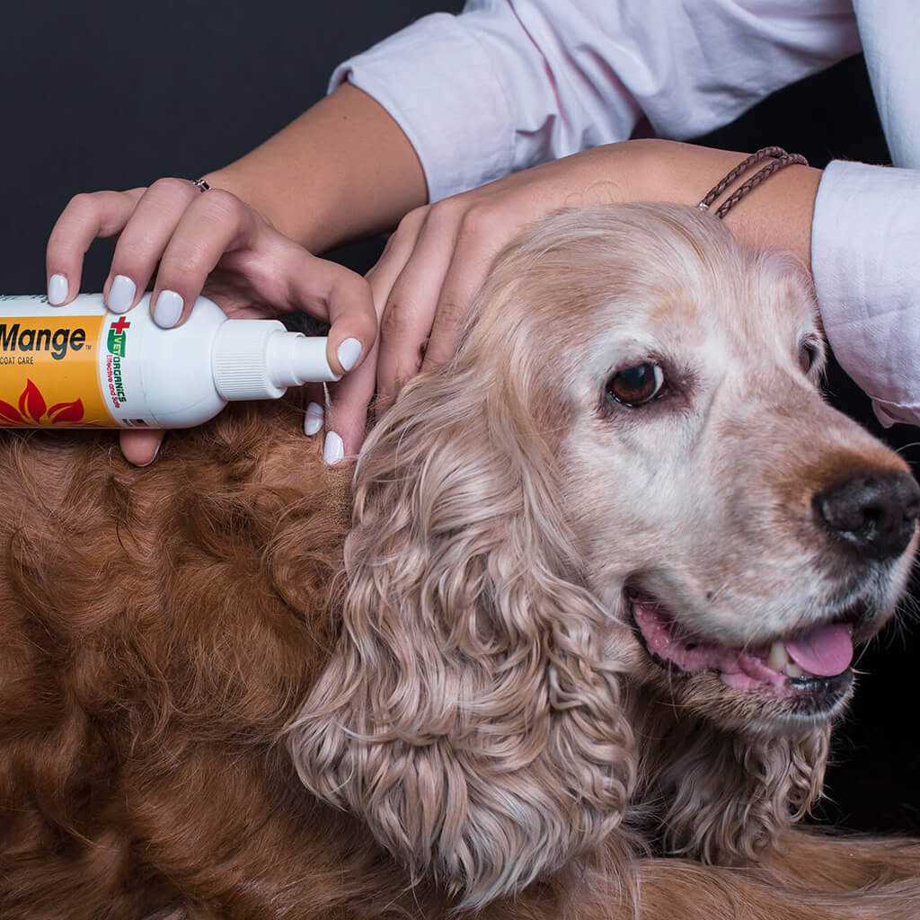 EcoMange Dog & Cat Skin Treatment J17111