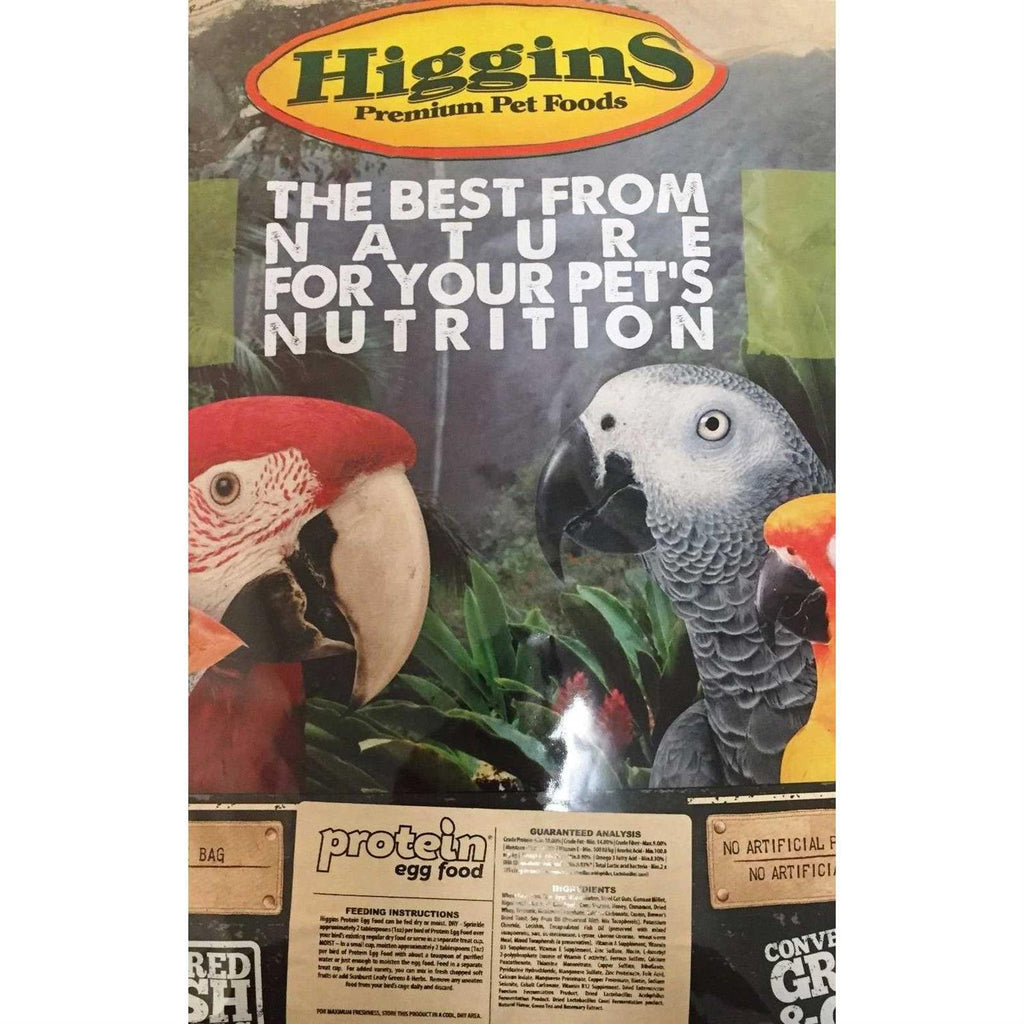 Protein Egg Food H434