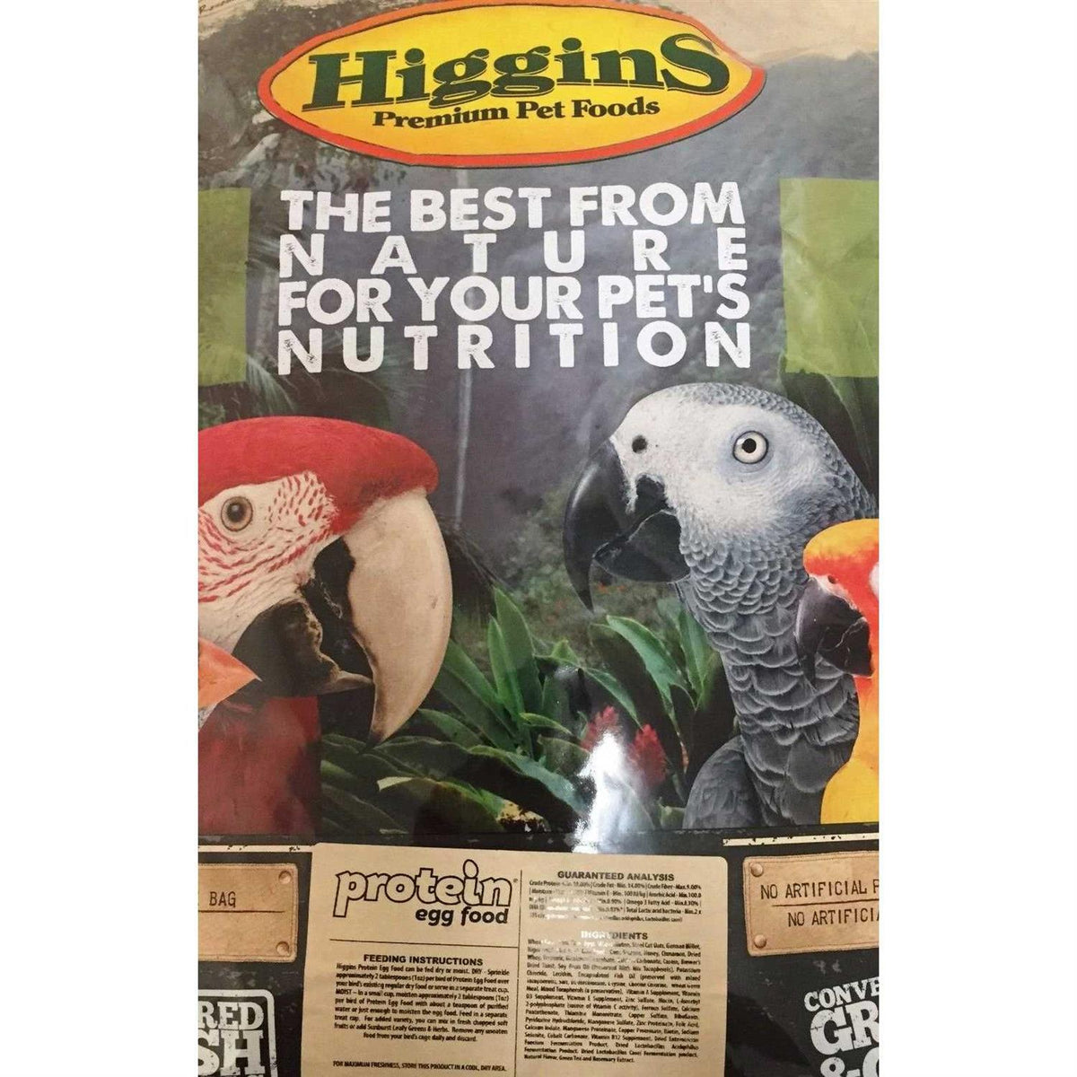Protein Egg Food H434
