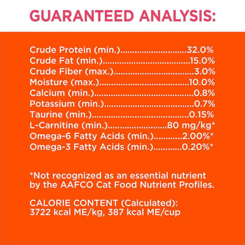 Salmon Adult Dry Cat Food M72133