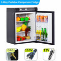 2.1 Cu Ft Propane Gas RV Compact Refrigerator F548813