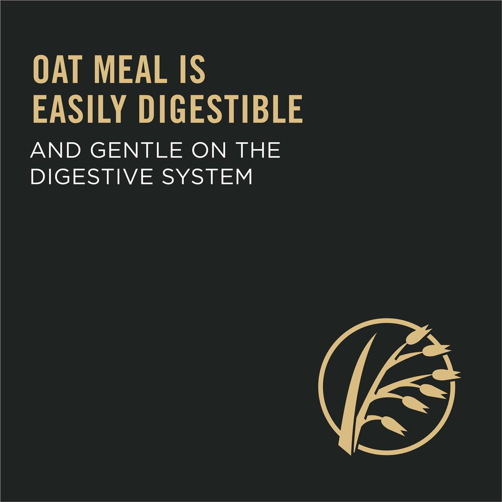 Oat Meal Formula Dry Dog Food V475303