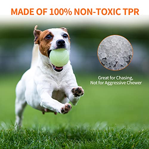 Interactive Squeaky Dog Ball, Light Up, Floating, Durable TPR, 2.5 Inches, 1 Pack M991