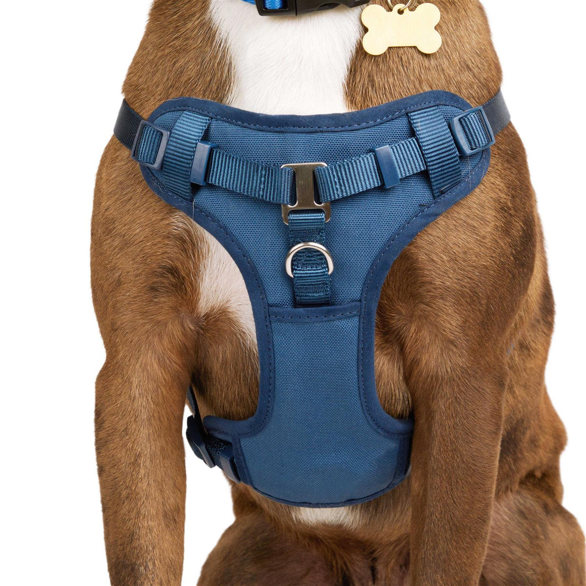 Padded Step-in Dog Harness P88532