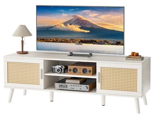 Boho TV Stand for 65 Inch TV with Adjustable Shelf and 2 Cabinets H904