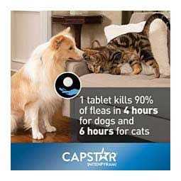 Flea Tablets for Dogs U1137