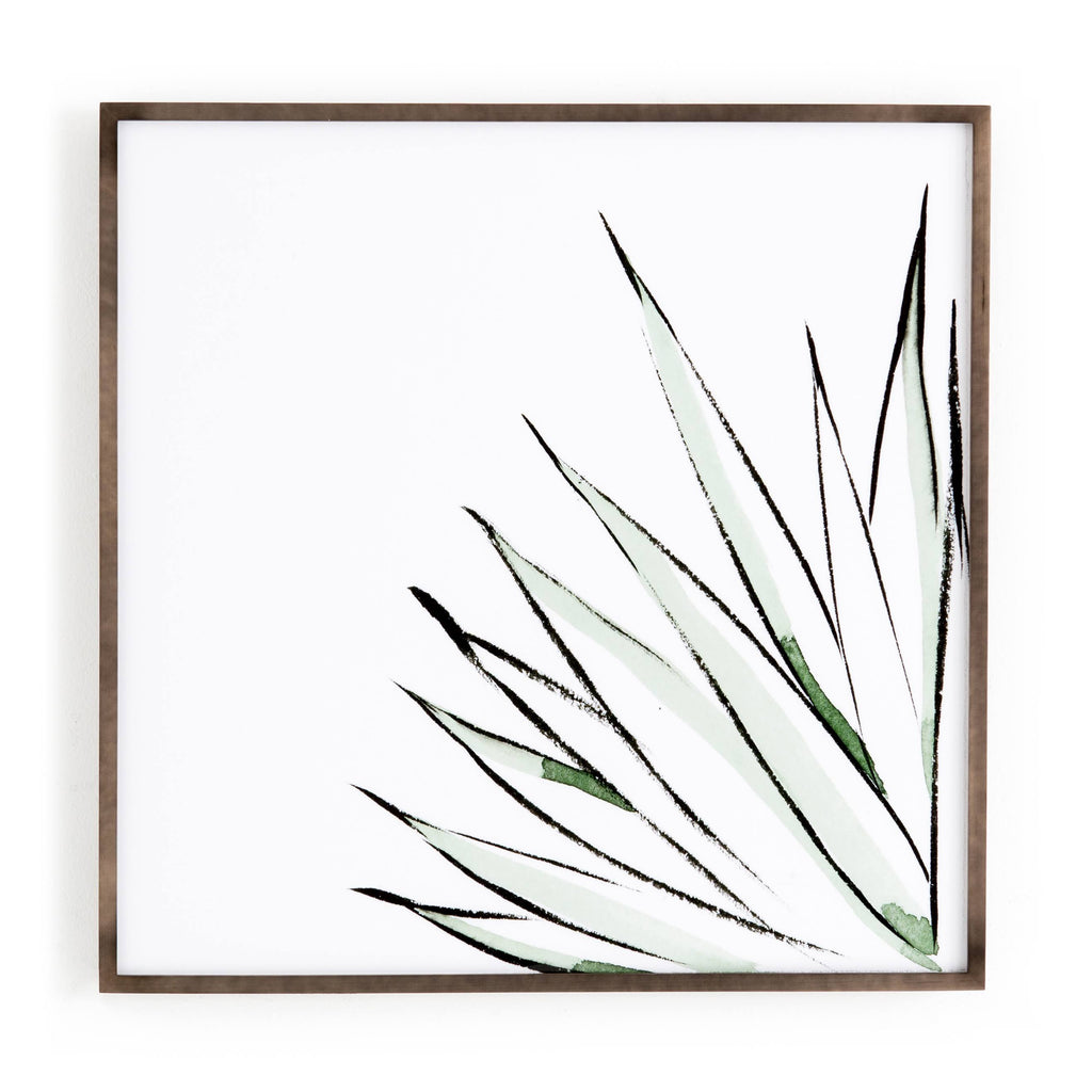 Agave Crop T623751