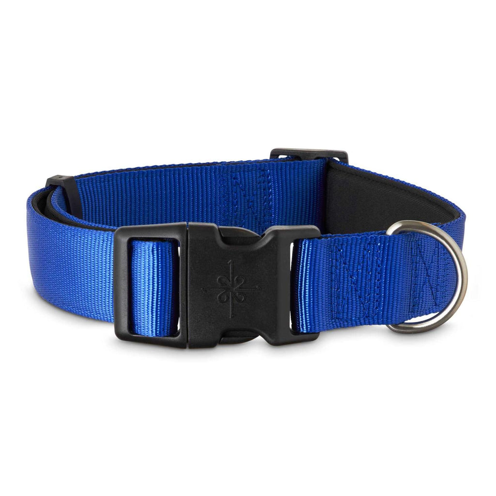 Neoprene Padded Dog Collar W769