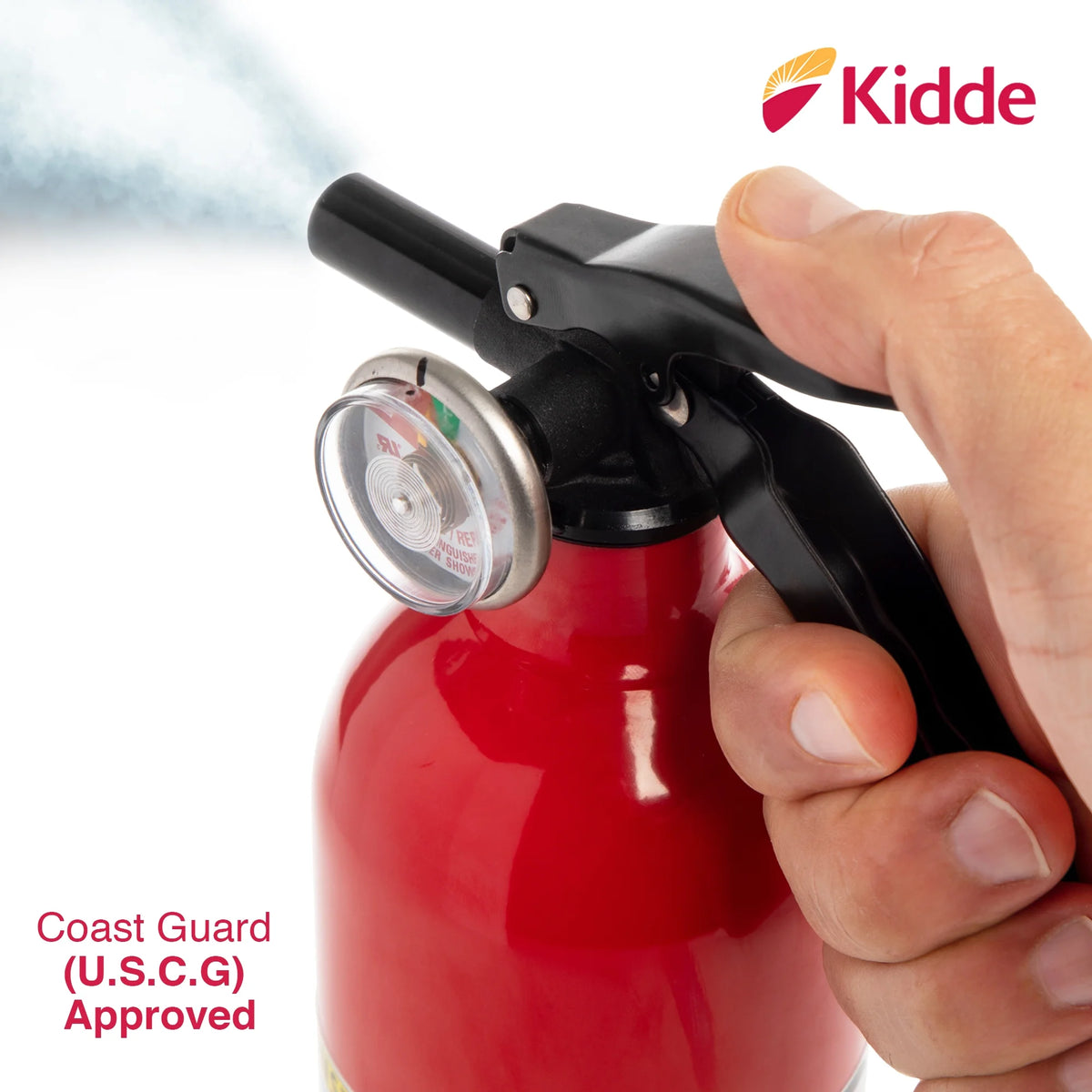2.5 lbs Fire Extinguisher D482