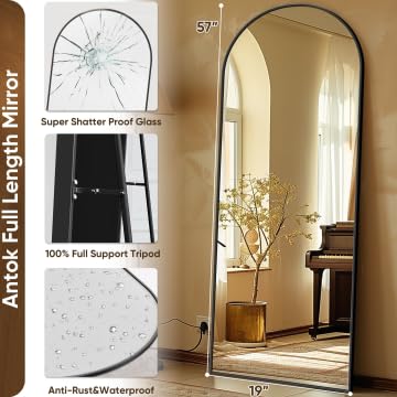 Arched Full Length Mirror 76"x34" Black R731224
