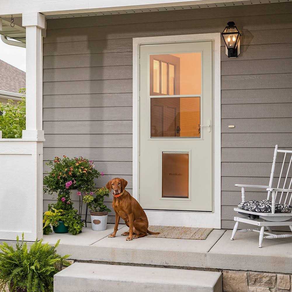 Pet Storm Door X249953
