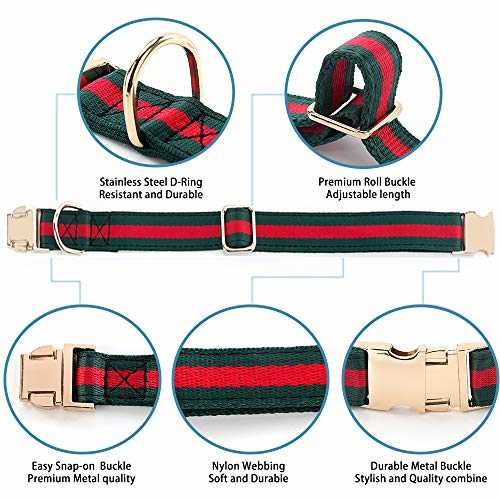 Adjustable Dog Collar with Metal Buckle L6335