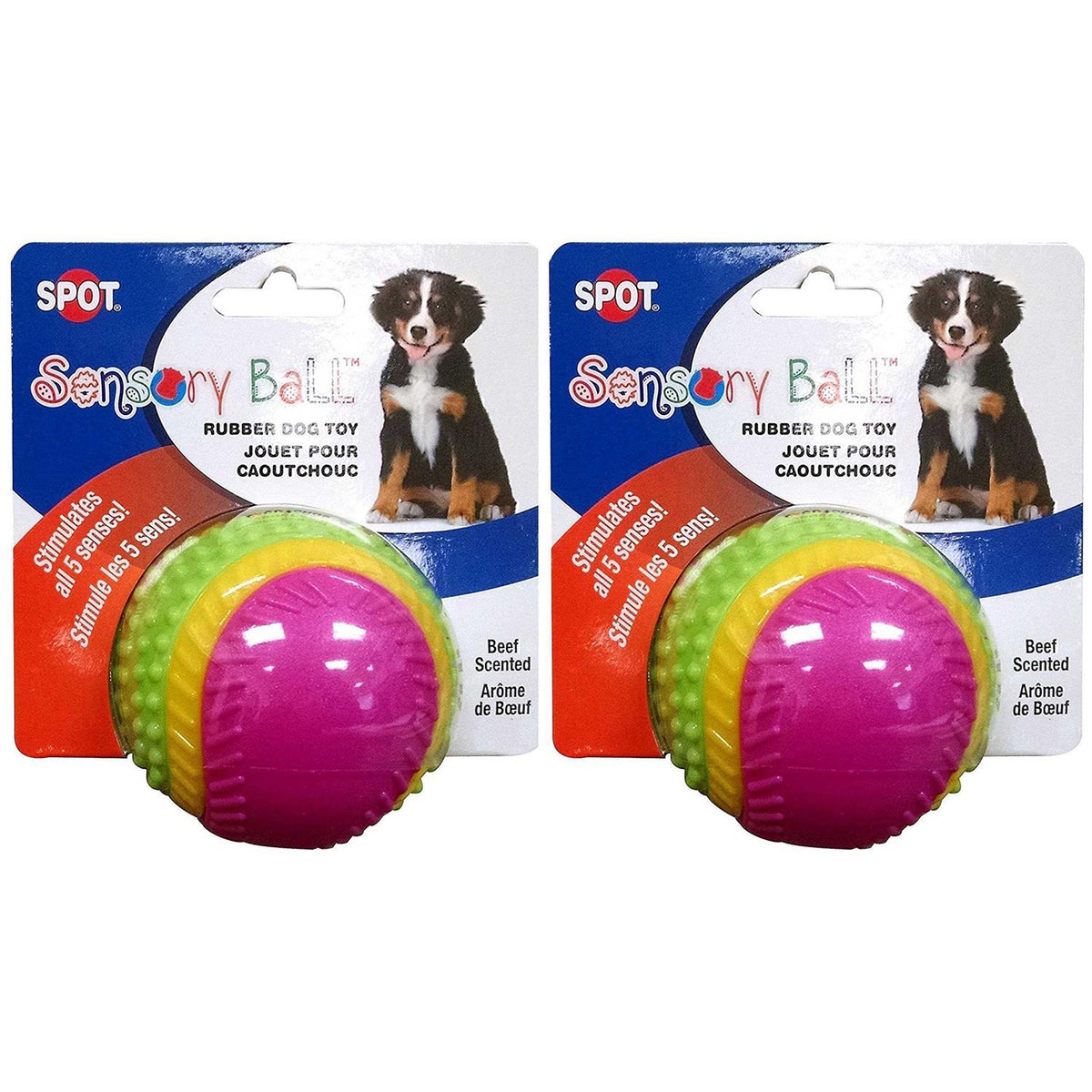 Sensory Ball Dog Toy Z868