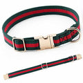 Adjustable Dog Collar with Metal Buckle L6335