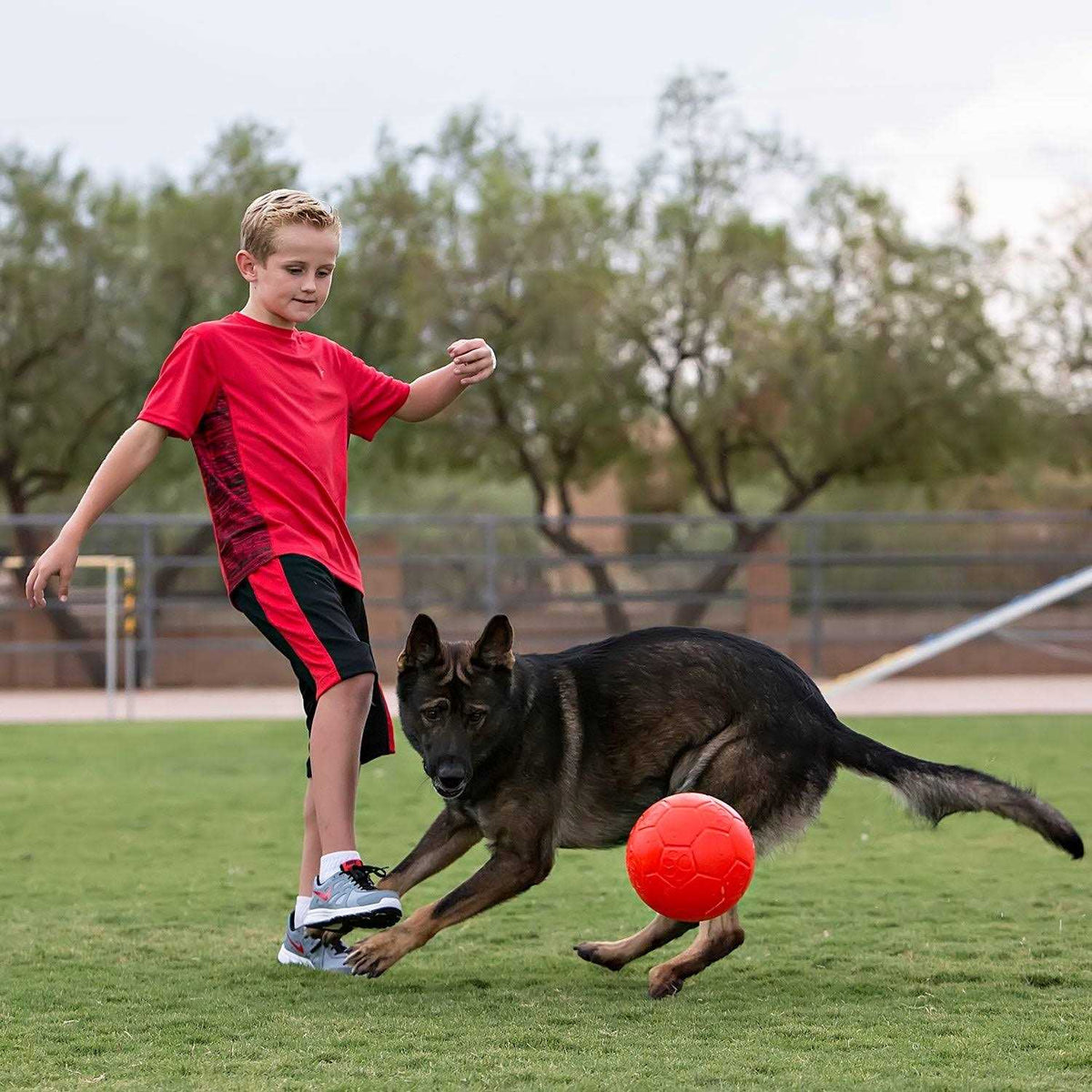 Soccer Ball Pet Supplies O5548
