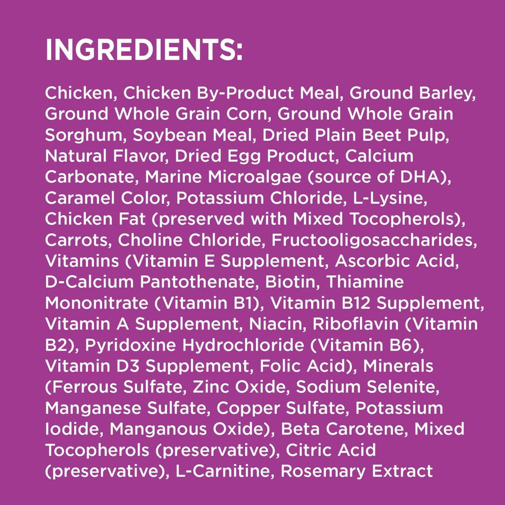 Dry Dog Food M69849